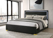 Marceline Panel Bed with LED Lighting - Pay Less Furniture (NJ)