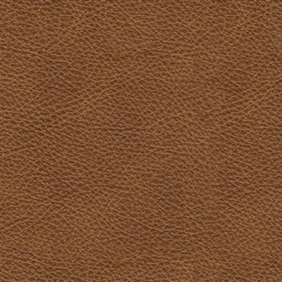 Carianna Loveseat - Pay Less Furniture (NJ)