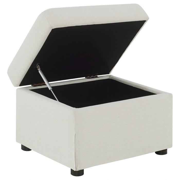 Winter Storage Ottoman
